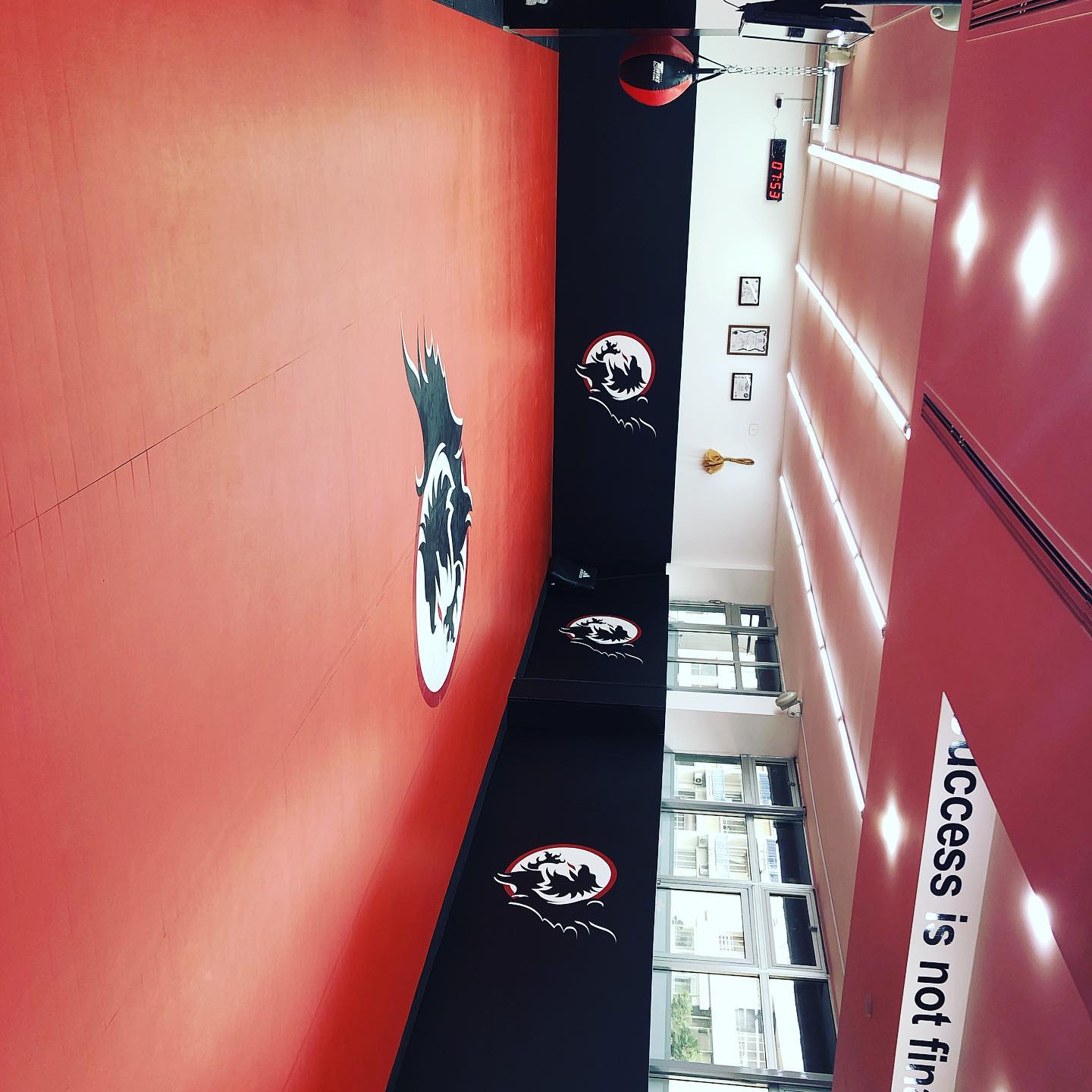 Praetorians training hall before the blast, mats and ring set up under the ceiling
