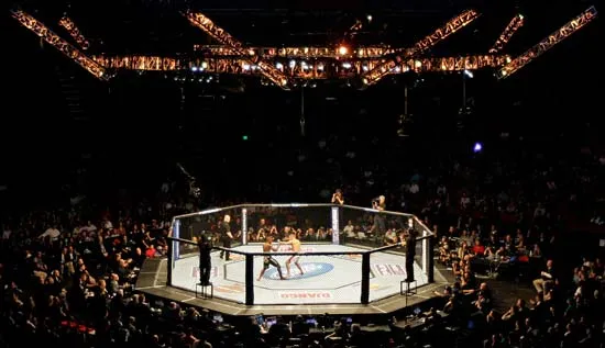 UFC octagan MMA